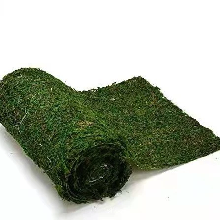 Ломтики мха для пейзажной фотографии