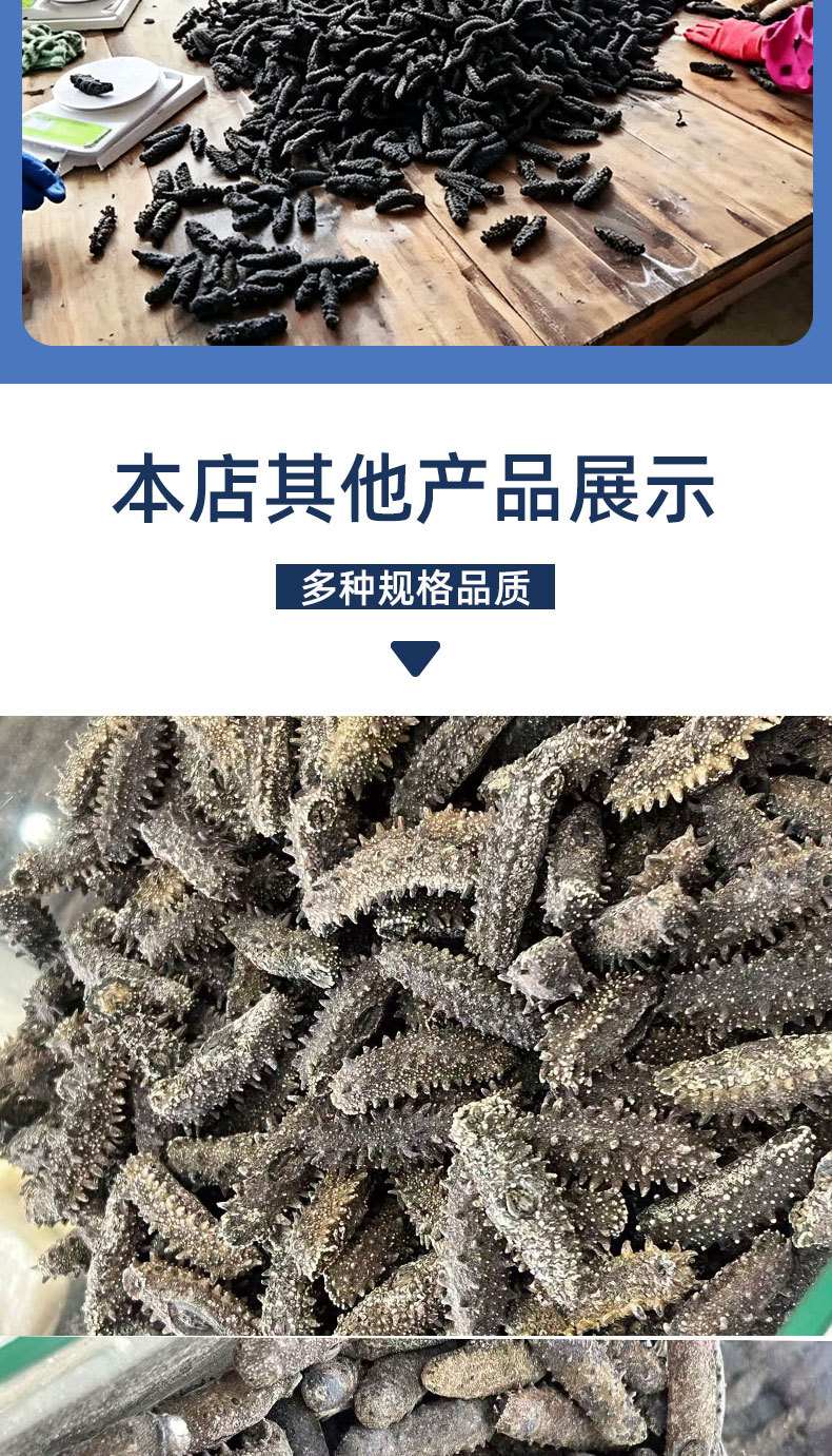 Pure Lightly Dried Liaoning Sea Cucumber 6-7 Year Grade A 50g Gift Box specifications