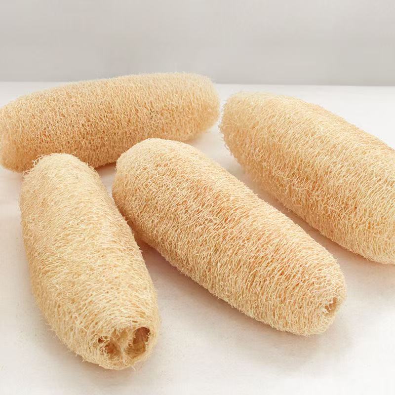 [식재 기지] 루파 펄프 루파 콜로 접시 수건 접시 헝겊 물 볶음 냄비 브러시 오염 제거 및 기름없는 청소 요리