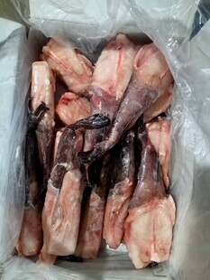 �����~��ȥ�~βMONKFISH���S�����~���������W���n��