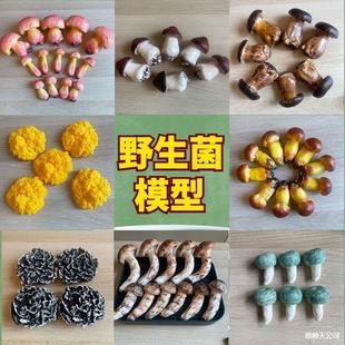 Ұ������Ģ��ģ��������¶ţ�ξ��u����Ǿ��ڻ��Ƹɰ;����p