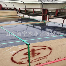 ��Ĥ���ɽ18mm���p�渲Ĥ ��Ĥ���Bģ�� ������������ �S�ҬF؛