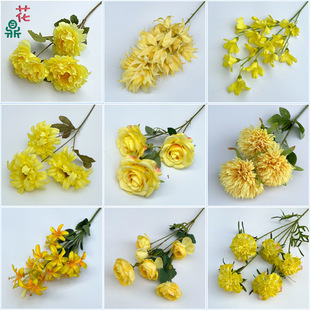 24���Sɫϵ��c���쾰�b�Y�F����������b����S���仨�r��