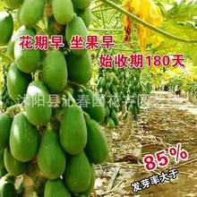 ľϷNӱƤţľ̨ͥԺļˮNӴȫ