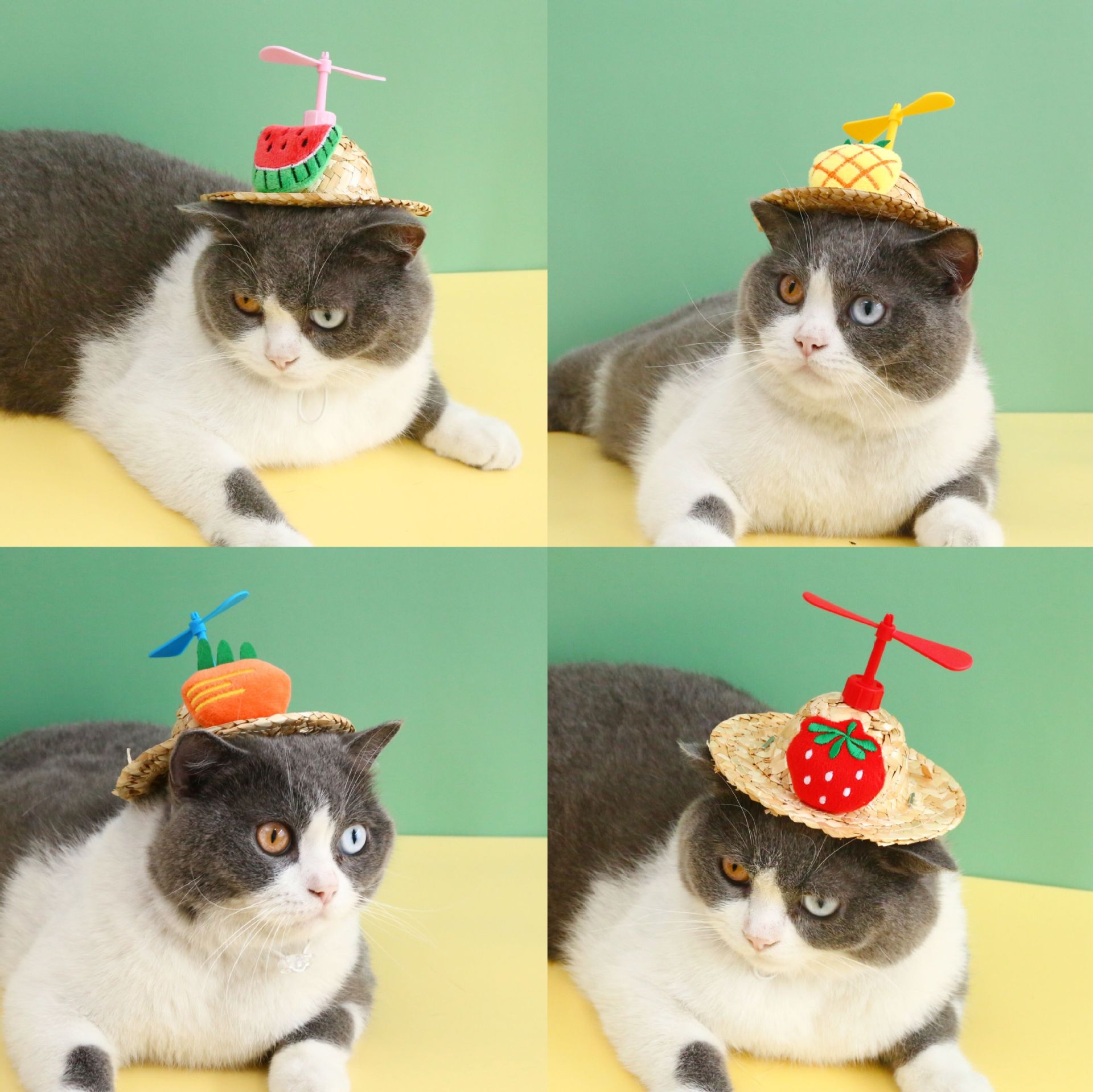 Pet gato perro libélula de bambú de dibujos animados fruta sombrero de paja piña fresa zanahoria aviones sombrilla sombrero fresco accesorios