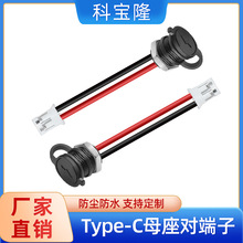 定制Type-C母座对2.0端子配带防尘帽螺母二芯防水typec母座电源线