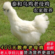 ̩�͞��u�����u�r��ɢ�B�Ҝ���ĸ�u���u�������P���u�F����S���]