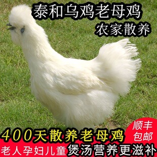 ̩�͞��u�����u�r��ɢ�B�Ҝ���ĸ�u���u�������P���u�F����S���]