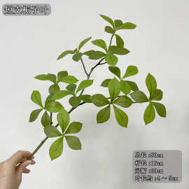 仿真植物栀子花叶 吊钟多瓣叶马醉木叶ins风网红民宿家居装饰枝叶