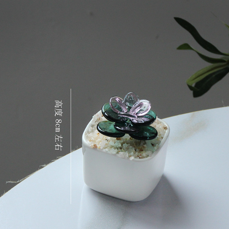 Carnoso - bicolor - rosa verde