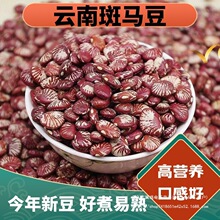 云南斑马豆 新货农家自产大圣豆 荷包豆 饭豆煲汤煮粥 斑马豆批发