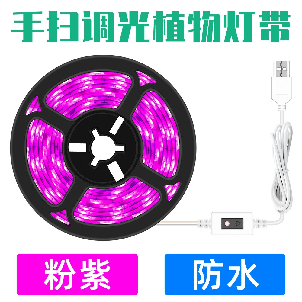 LED、、、