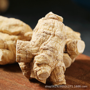 �������^500���L��ɽ���셢ɢ�b��֦���NҎ�����l������Ƭ