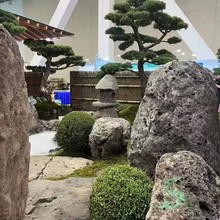 ɽһʯ԰־װʯͷʽʽͥԺװξ۰