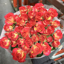 ͬ����������^õ���r����ˮ�ٺ�ֱ�l��ɫ�����廨�ǻ������f�ű�