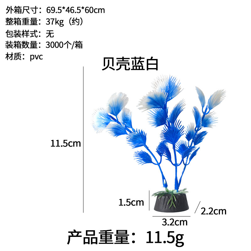 Concha azul y blanco