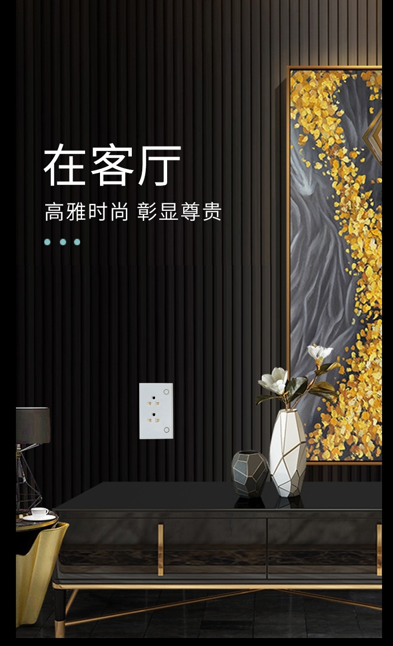 越南规墙壁插座-12.jpg