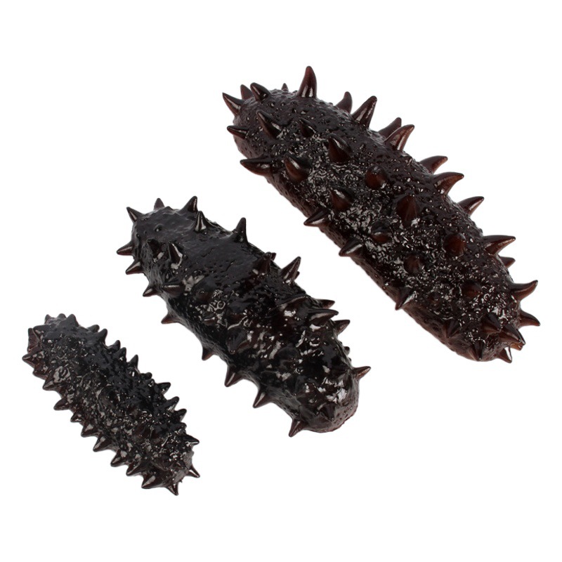 Simulation Seafood Sea Cucumber Stereo Refrigerator Sticker 3d Message Magnetic Sticker Simulation Food Food Play Model Shooting Props