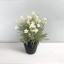 ֲG~Сԕ[辰Ҿ҃bĔzСmٻ