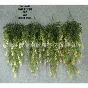 5�^�ļ�õ����  �Ҿ��b[��  ins�L���W�L�� �廨 �@���쾰���