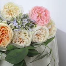 ���滨 ���@õ�� �ָ�õ�� ���� �Ҿ�ƿ�� �Ӱ��g�b� �㙉��ɫ