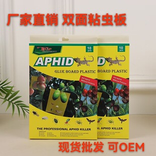 ���l �����p��ճ�x�� �皢�w�� ��ω���x ���x��10Ƭ�b