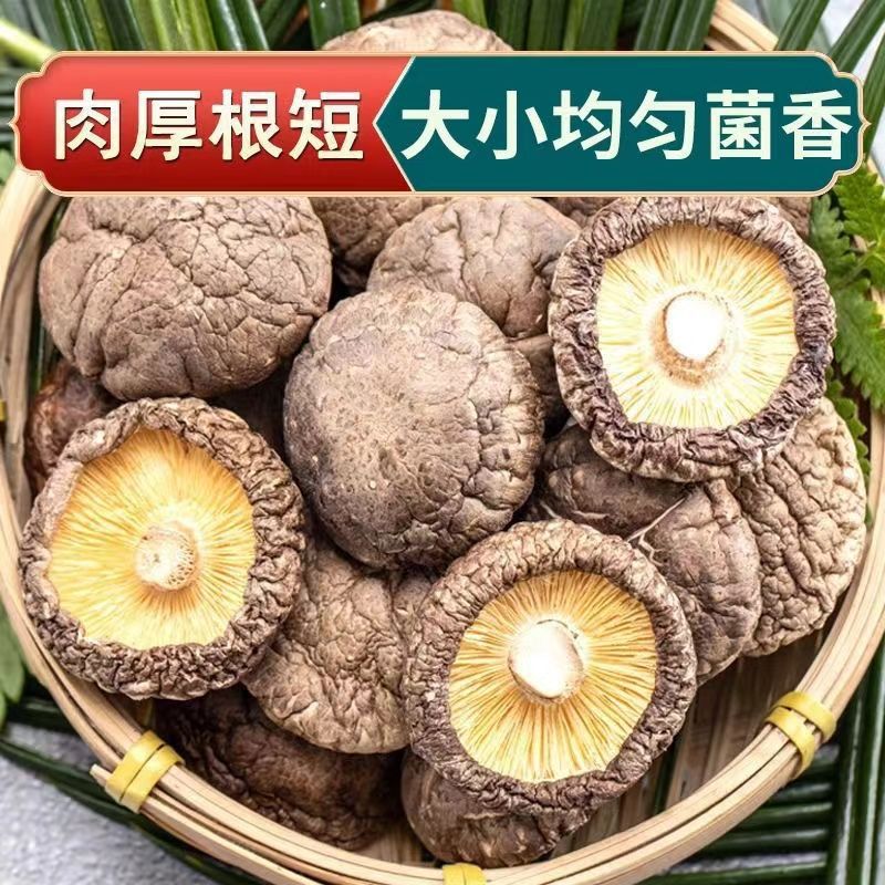 香菇古田干货500g肉厚无根干香菇原木香茹食用菌蘑菇厂家直发批发
