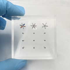 Titanium Brocade Piercing F136 Titanium Alloy Six Petal Flower Diamond Earrings Lip Nails 16G Temperament Ear Bone Nails Jewelry Wholesale