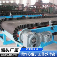 工場供給高精度計量フィーダー定量混合スケール電子計量ベルトスケール速度制御ベルトスケール