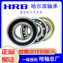 Hrbハルビンベアリング6307 6308 6309 6310 6311 6312 2z 2rz高速