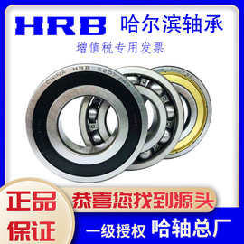 HRB 哈尔滨轴承6307 6308 6309 6310 6311 6312 6313 2Z 2RZ 高速