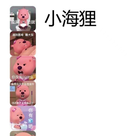 작은 비버 광장 표현