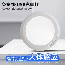 吸顶灯;LED球泡灯;灯控制器