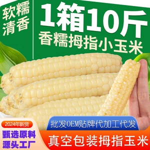 Юньнан Xishuang na na na na coun corn rannia Завтрак ужин свежее семейство сладкое сладкое и клейкое мини -палец маленькая кукуруза