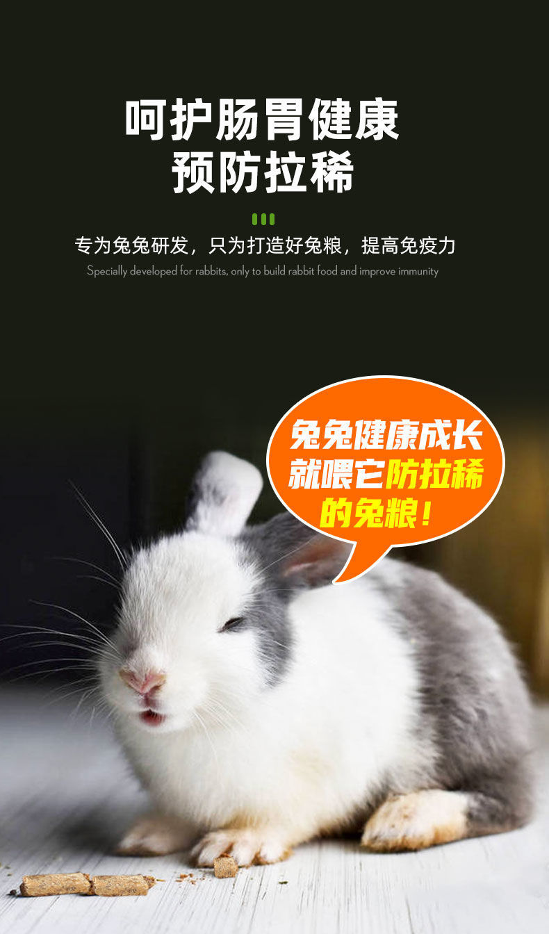 244e870a-a145-4184-875d-f06a81bf0b9d.jpe