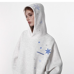 外贸现货雪花刺绣纯棉欧美跨境连帽衫卫衣男女上衣大码女士绒衫