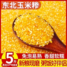 东北玉米糁小碴子渣粥新鲜细碎杂粮笨碴棒子苞碴熬粥粘糯农家五谷