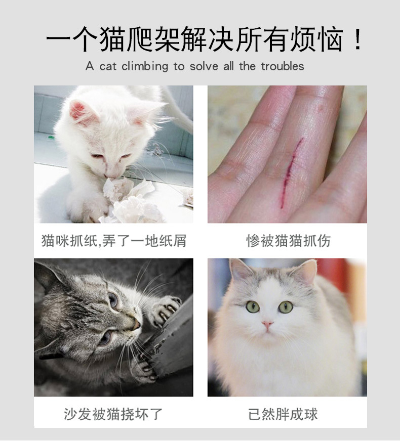 详情--_10.jpg