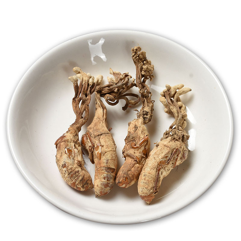 Golden Cicada Flower Cordyceps 500g Dried Fungal Herb Zhi Liao Hua Chan Jun for Decoction and Soup specifications