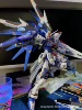 Mg Freedom 2.0 [Water Send Paste Place]