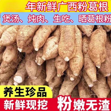 新鲜葛根现挖广西大山葛根无渣葛根粉野生葛根片煲汤清甜粉糯5斤