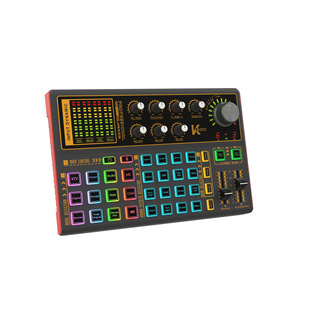 SK300 English cross-border Computer mobile phone live sound card with goods warm singing K short video portable equipment wholesale
