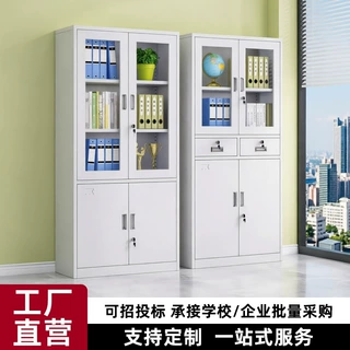 定制办公室文件柜铁皮柜带锁储物柜钢制资料档案柜财务凭证柜矮柜