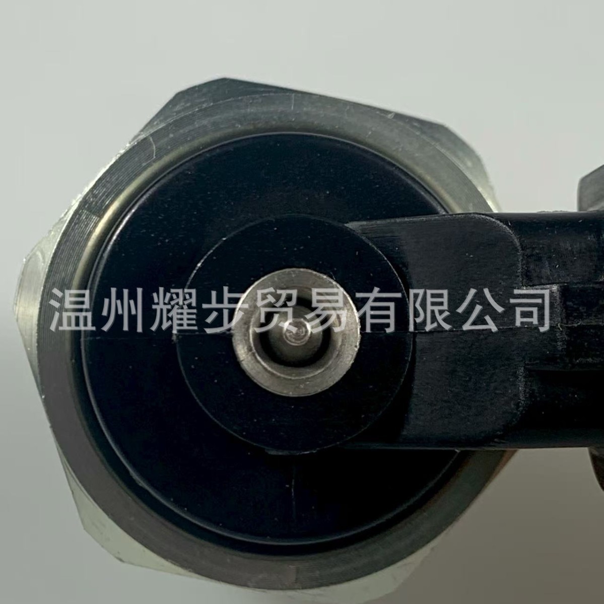 High-Pressure Fuel Pump Plug Yilisu Electric Solenoid Valve Universal Model A3A4A5A6Q5Q7Cctt for Personal Use
