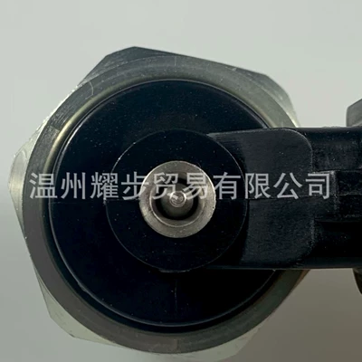 High-Pressure Fuel Pump Plug Yanacaq injektoru (Forsunka)