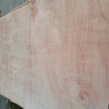 γ12mmǹWtzϰ壬Wt߶˼Ҿ߰b