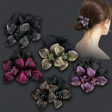 ���c�lȦ�߼����^�KŮ���^�lƤ��ߏ������ðl�K2026�¿��~�z�l�