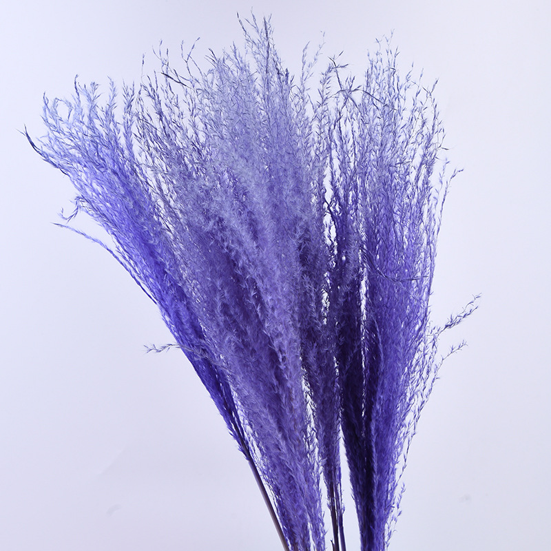 라벤더 퍼플 (10 스틱/다발)