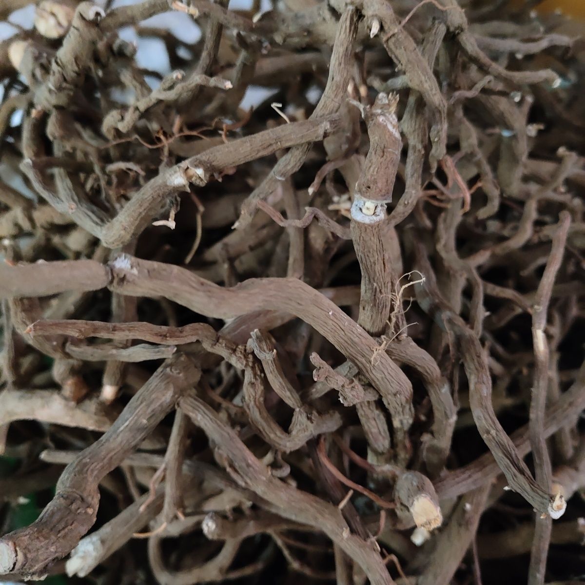 大山药材八爪金龙 百爪金 八爪金 铁雨伞 整条根部干品无提取加工