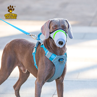 Wholesale Hot-Selling Dog Masks, Dog Muzzle, Foreign Trade Pet Supplies, Anti-Smog Nylon Mask with Breathing Valve, Breathable Protection
